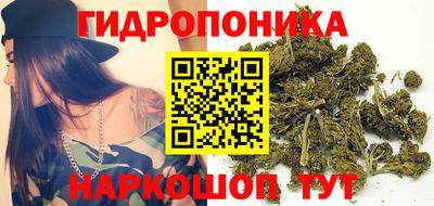 прущие грибы Кунгур