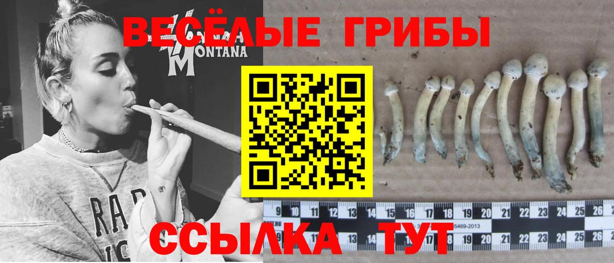 Галлюциногенные грибы прущие грибы Кисловодск